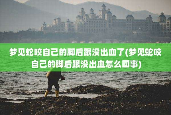 梦见蛇咬自己的脚后跟没出血了(梦见蛇咬自己的脚后跟没出血怎么回事)