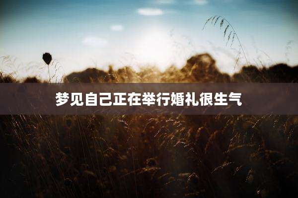 梦见自己正在举行婚礼很生气