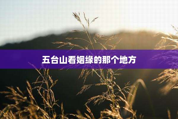 五台山看姻缘的那个地方