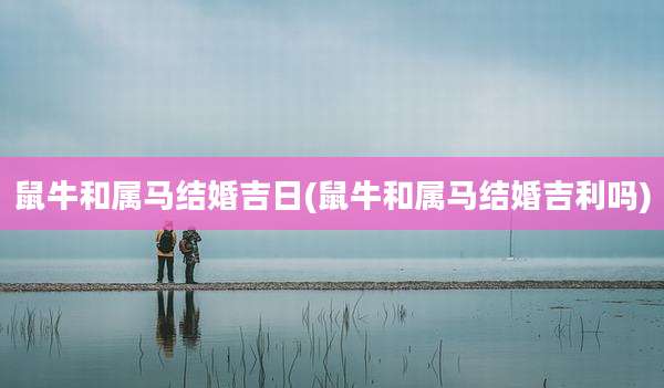 鼠牛和属马结婚吉日(鼠牛和属马结婚吉利吗)