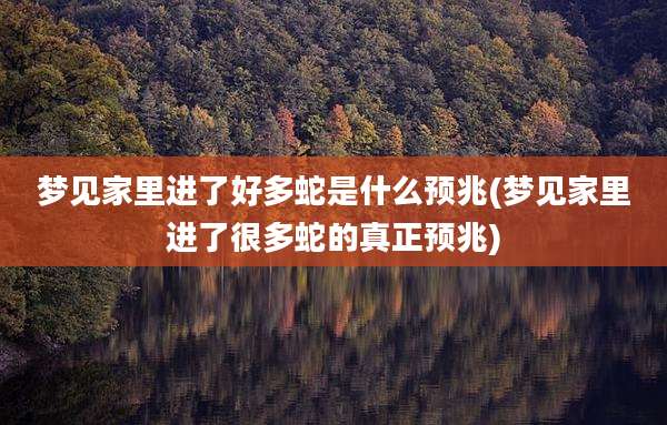 梦见家里进了好多蛇是什么预兆(梦见家里进了很多蛇的真正预兆)