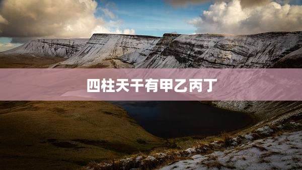 四柱天干有甲乙丙丁