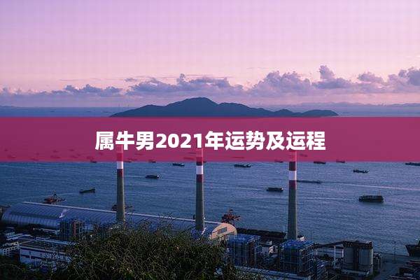 属牛男2021年运势及运程
