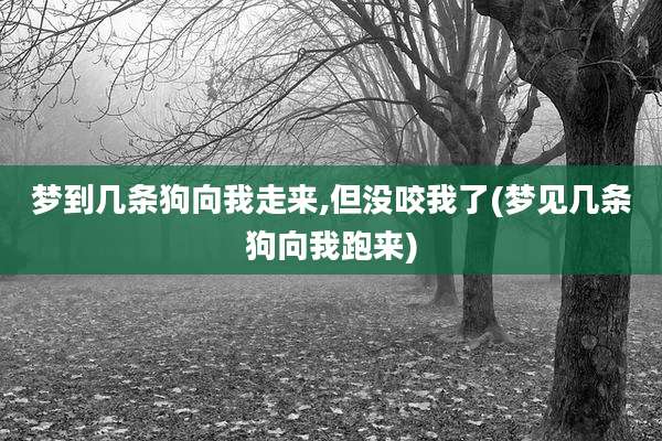 梦到几条狗向我走来,但没咬我了(梦见几条狗向我跑来)