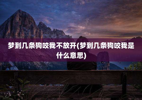 梦到几条狗咬我不放开(梦到几条狗咬我是什么意思)