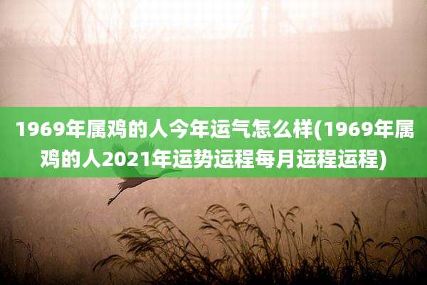 1969年属鸡的人今年运气怎么样(1969年属鸡的人2021年运势运程每月运程运程)