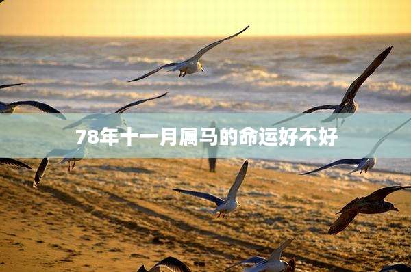 78年十一月属马的命运好不好