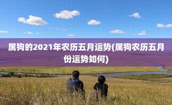 属狗的2021年农历五月运势(属狗农历五月份运势如何)