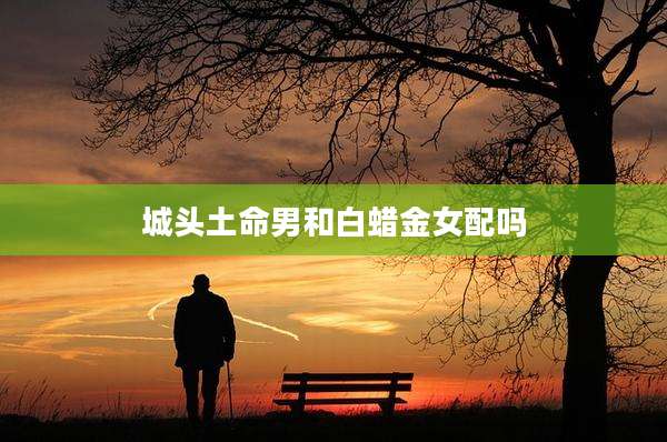 城头土命男和白蜡金女配吗