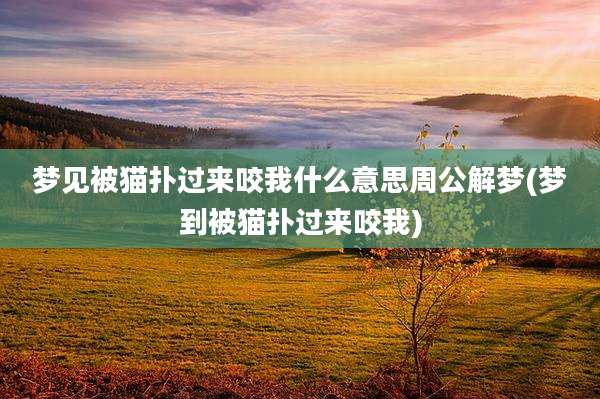 梦见被猫扑过来咬我什么意思周公解梦(梦到被猫扑过来咬我)