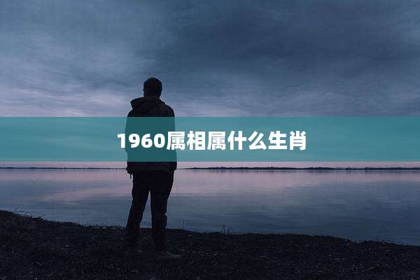 1960属相属什么生肖