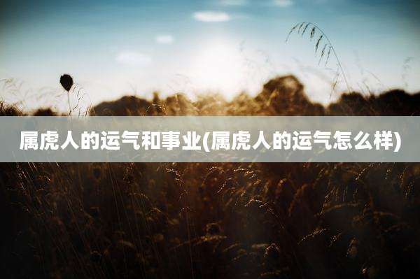 属虎人的运气和事业(属虎人的运气怎么样)