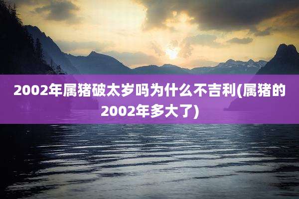 2002年属猪破太岁吗为什么不吉利(属猪的2002年多大了)