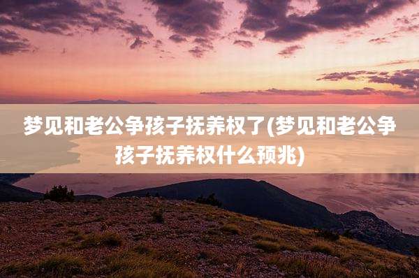 梦见和老公争孩子抚养权了(梦见和老公争孩子抚养权什么预兆)
