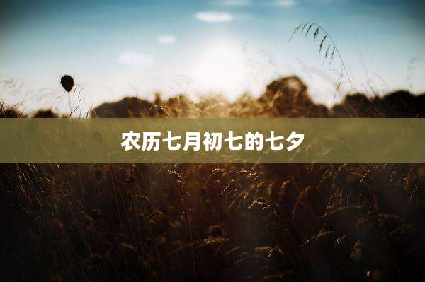 农历七月初七的七夕