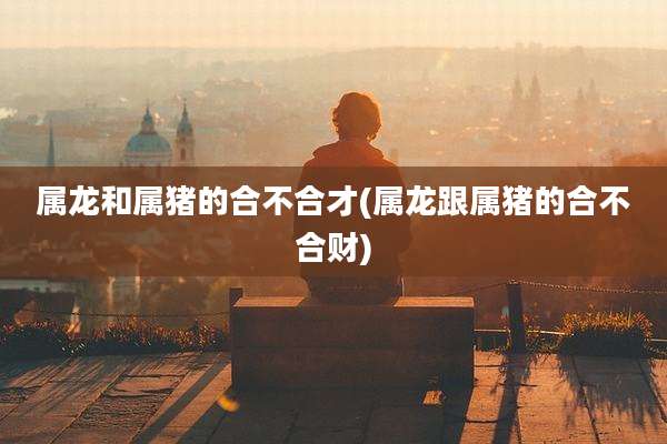 属龙和属猪的合不合才(属龙跟属猪的合不合财)