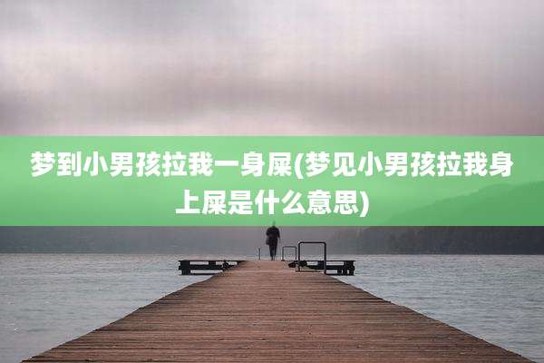 梦到小男孩拉我一身屎(梦见小男孩拉我身上屎是什么意思)
