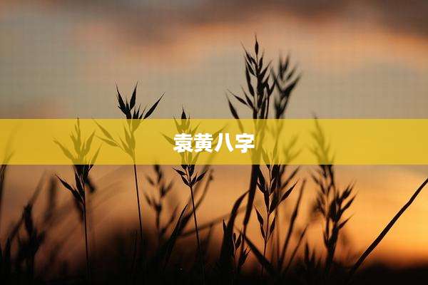 袁黄八字