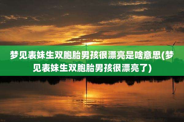 梦见表妹生双胞胎男孩很漂亮是啥意思(梦见表妹生双胞胎男孩很漂亮了)
