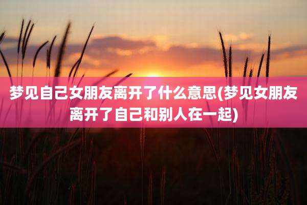 梦见自己女朋友离开了什么意思(梦见女朋友离开了自己和别人在一起)