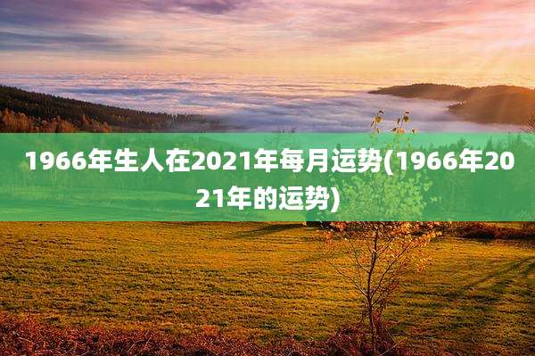 1966年生人在2021年每月运势(1966年2021年的运势)