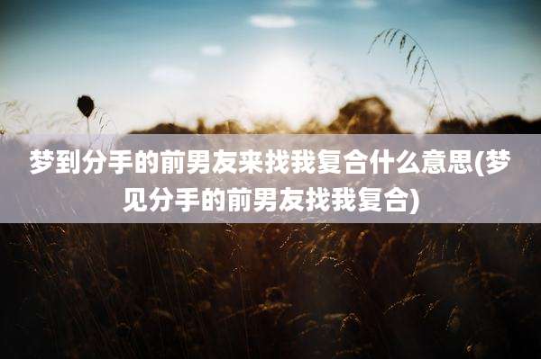 梦到分手的前男友来找我复合什么意思(梦见分手的前男友找我复合)