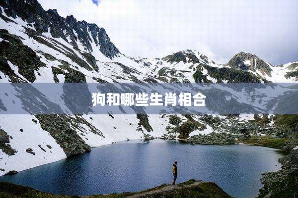 狗和哪些生肖相合