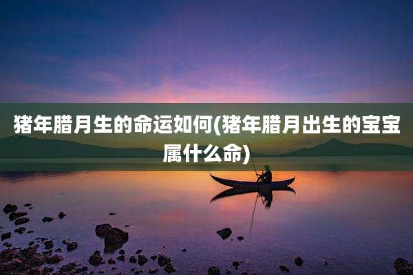 猪年腊月生的命运如何(猪年腊月出生的宝宝属什么命)