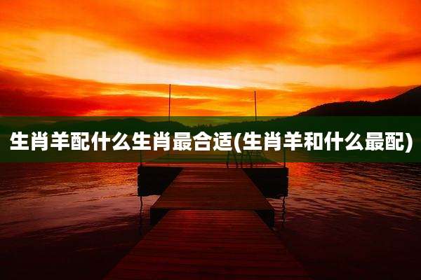 生肖羊配什么生肖最合适(生肖羊和什么最配)