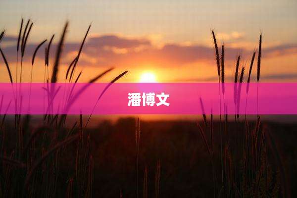 潘博文