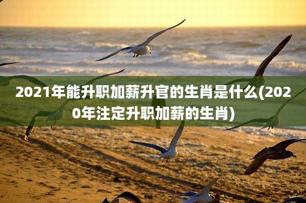 2021年能升职加薪升官的生肖是什么(2020年注定升职加薪的生肖)