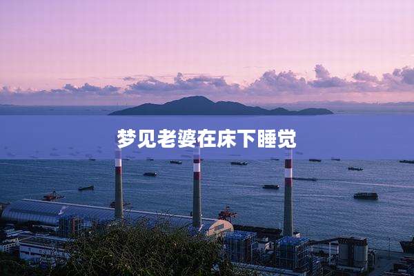 梦见老婆在床下睡觉