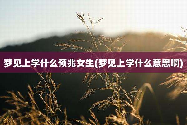 梦见上学什么预兆女生(梦见上学什么意思啊)