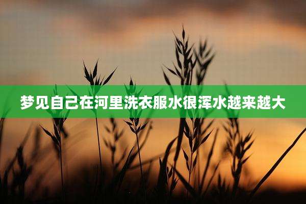 梦见自己在河里洗衣服水很浑水越来越大