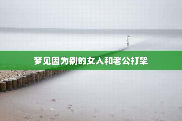 梦见因为别的女人和老公打架