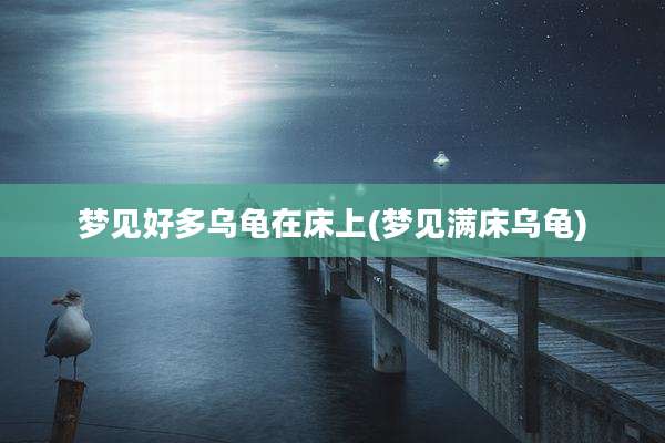 梦见好多乌龟在床上(梦见满床乌龟)