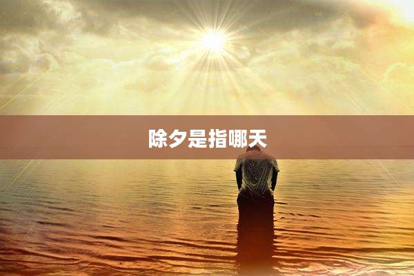 除夕是指哪天