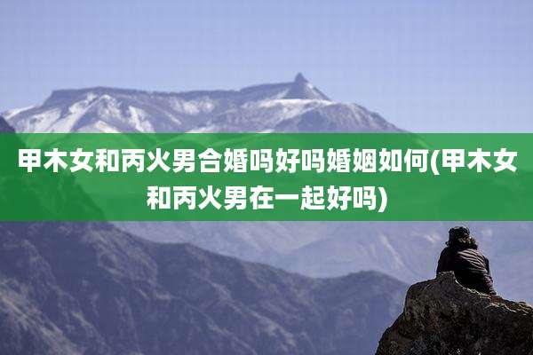 甲木女和丙火男合婚吗好吗婚姻如何(甲木女和丙火男在一起好吗)