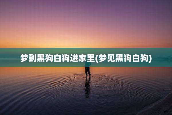 梦到黑狗白狗进家里(梦见黑狗白狗)