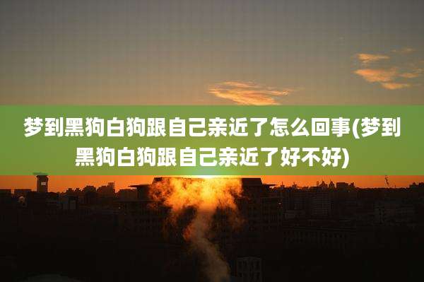 梦到黑狗白狗跟自己亲近了怎么回事(梦到黑狗白狗跟自己亲近了好不好)
