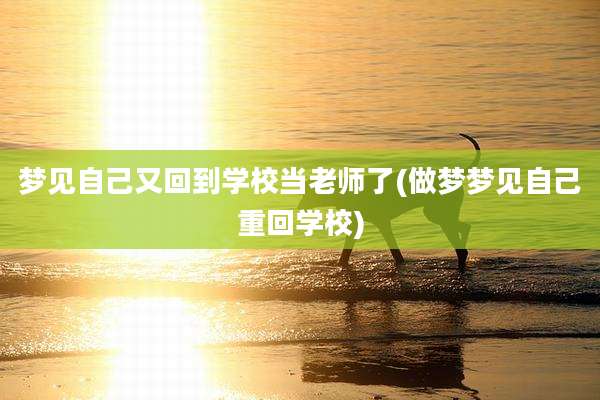 梦见自己又回到学校当老师了(做梦梦见自己重回学校)
