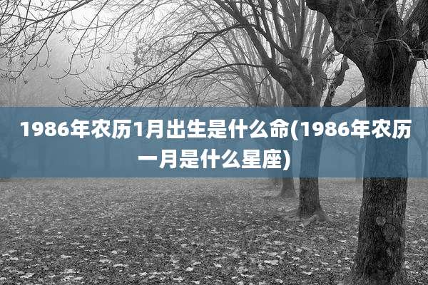 1986年农历1月出生是什么命(1986年农历一月是什么星座)