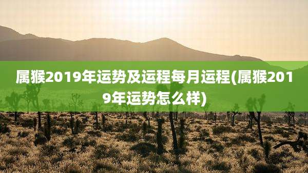 属猴2019年运势及运程每月运程(属猴2019年运势怎么样)