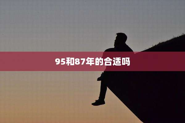 95和87年的合适吗