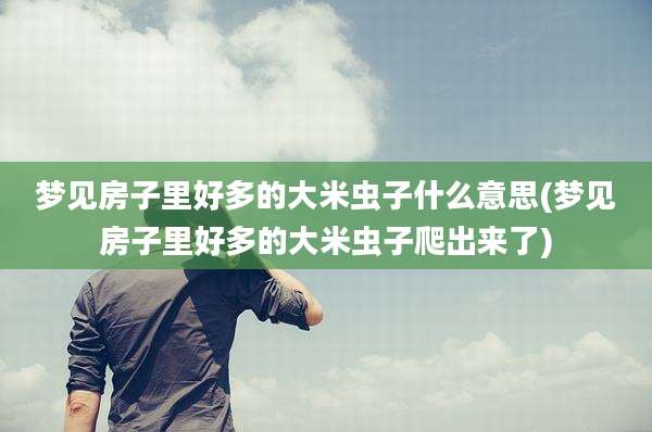 梦见房子里好多的大米虫子什么意思(梦见房子里好多的大米虫子爬出来了)