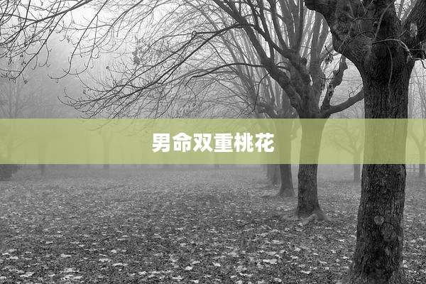 男命双重桃花