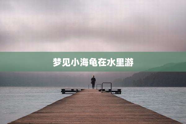 梦见小海龟在水里游