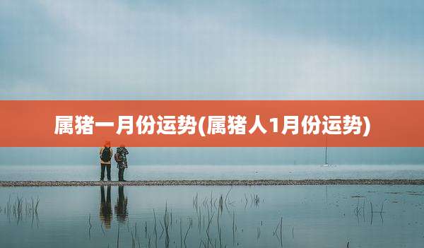 属猪一月份运势(属猪人1月份运势)