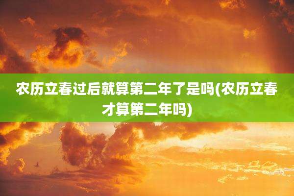农历立春过后就算第二年了是吗(农历立春才算第二年吗)