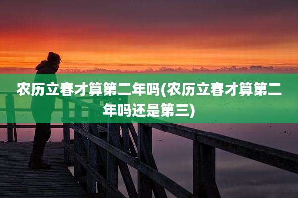 农历立春才算第二年吗(农历立春才算第二年吗还是第三)